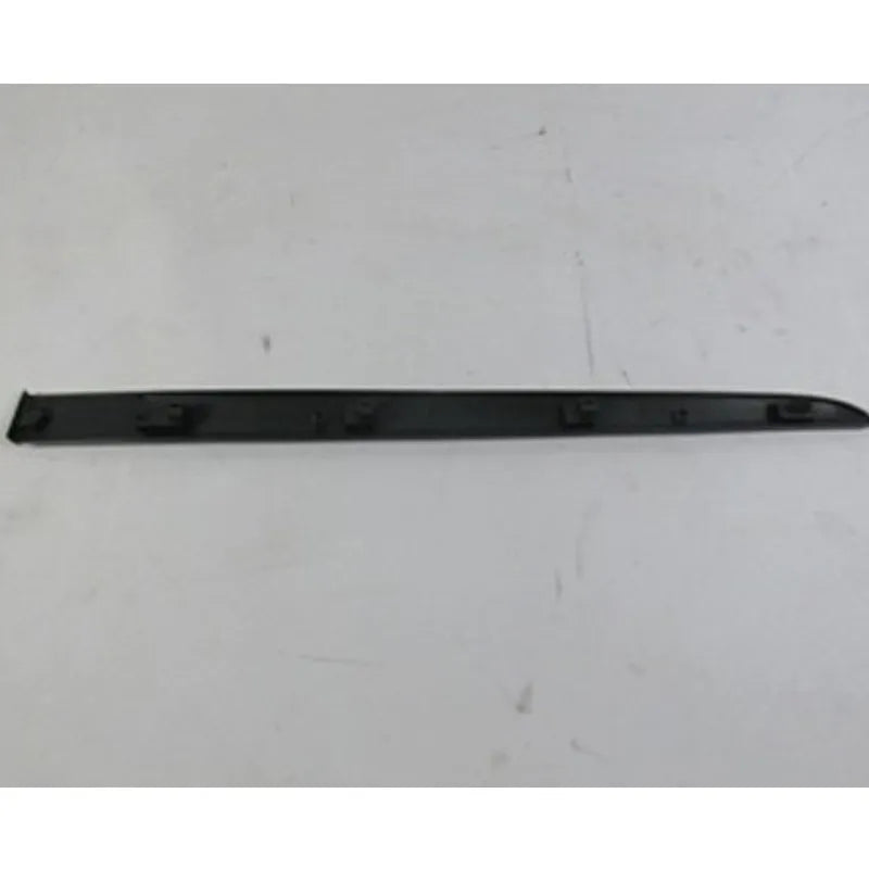 Clio Kapı Çıtası