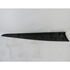 Clio Kapı Çıtası