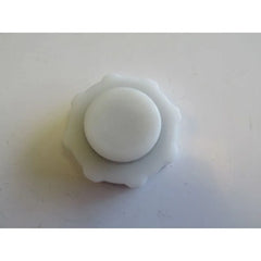 Laguna Radyatör Su Deposu Kapağı