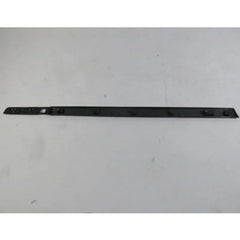 Clio Kapı Çıtası