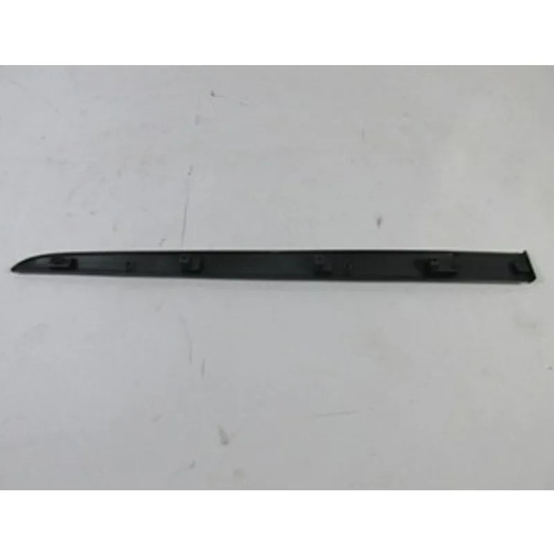 Clio Kapı Çıtası