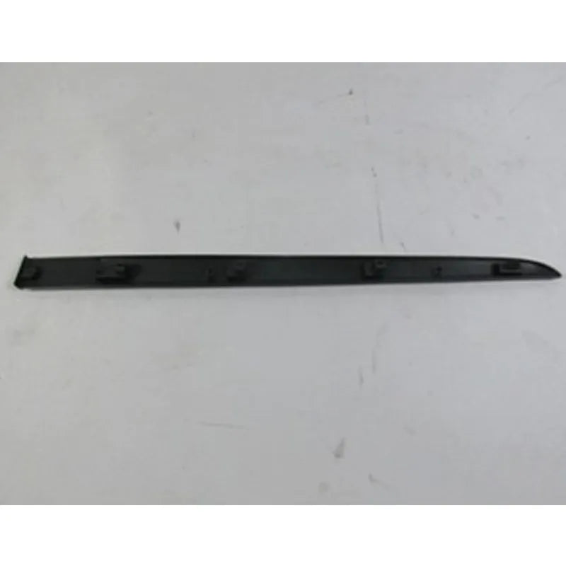 Clio Kapı Çıtası