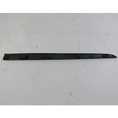 Clio Kapı Çıtası