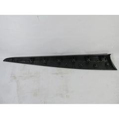 Clio Kapı Çıtası