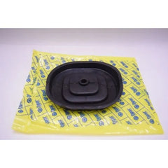 Kartal Vites Körüğü