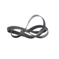 Safrane Alternatör Kayışı 1993-2001 Gates 7700853838