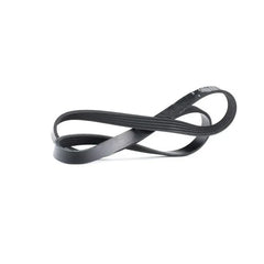 Grande Punto Alternatör Kayışı 2005-2015 Gates 55191970