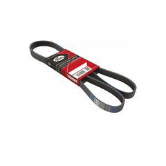 Laguna Alternatör Kayışı 2008-2012 Gates 7700861464