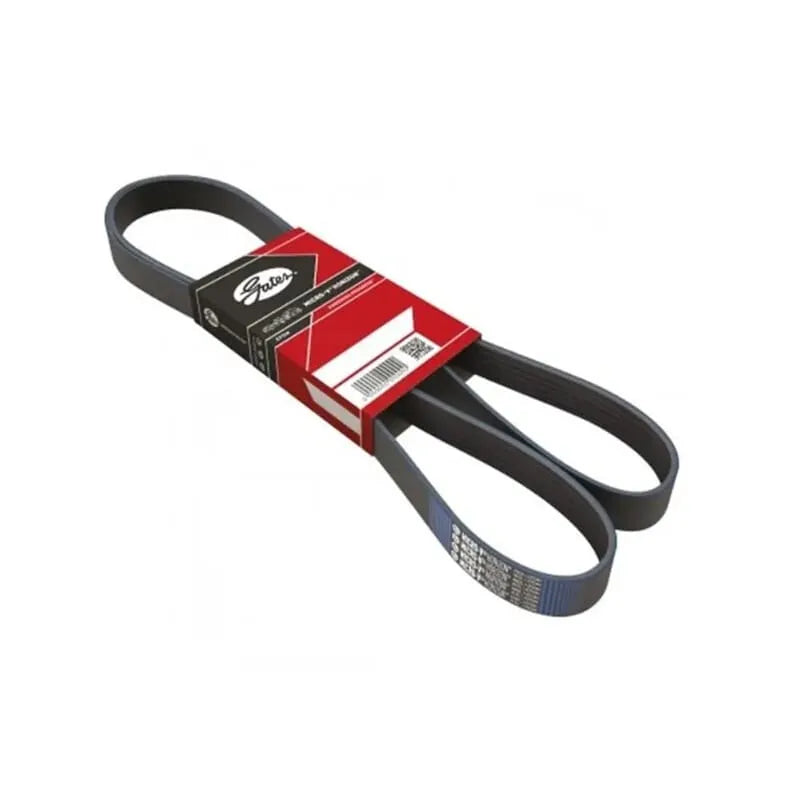 Laguna Alternatör Kayışı 2000-2007 Gates 9630034080