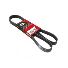 Laguna Alternatör Kayışı 2000-2007 Gates 9630034080