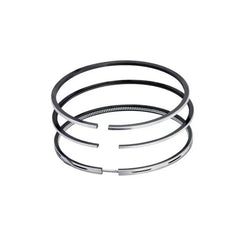 Laguna Piston Segmanı 1996-1999 GOETZE 61274079G