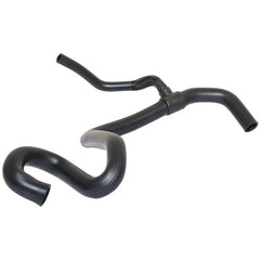 Laguna Motor Radyatörü Alt Hortumu 2000-2002