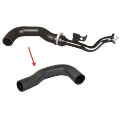 Linea Turbo Hortumu 2007-2015 İbraş 51883501
