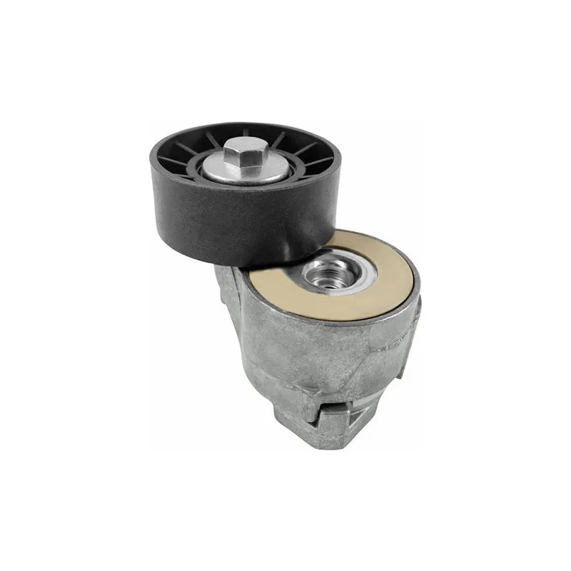 Ducato Alternatör Kayışı Gergi Bilyası 2001-2022