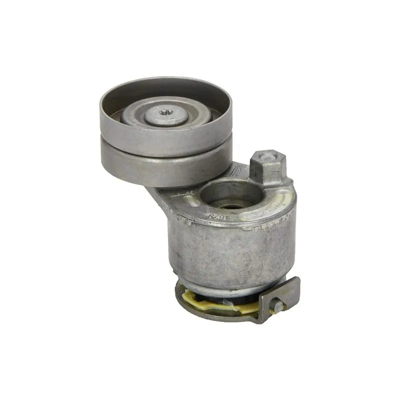 Kangoo Alternatör Kayışı Gergi Bilyası 1998-2009