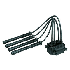 Clio Ateşleme Bobini Ve Buji Kablosu 1990-2015