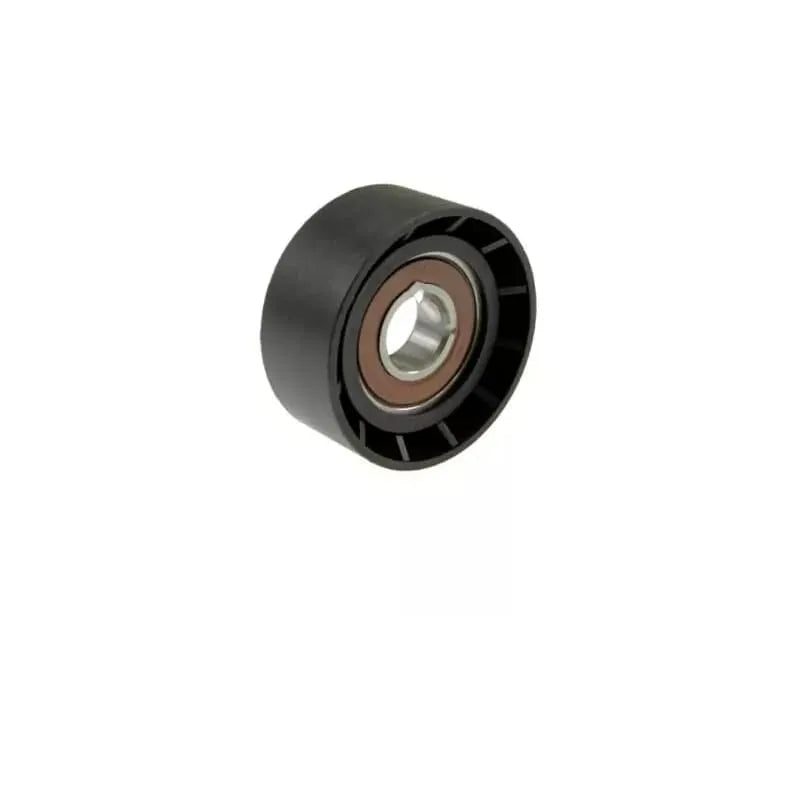 Kangoo Alternatör Kayışı Gergi Bilyası 1998-2002