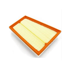 Kangoo Hava Filtresi 2010-2021 Motrio 165462862R