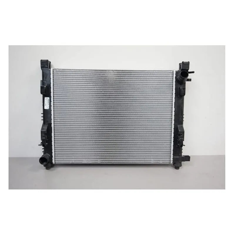 Lodgy Motor Su Radyatörü 2012-2017 Motrio 214100078R