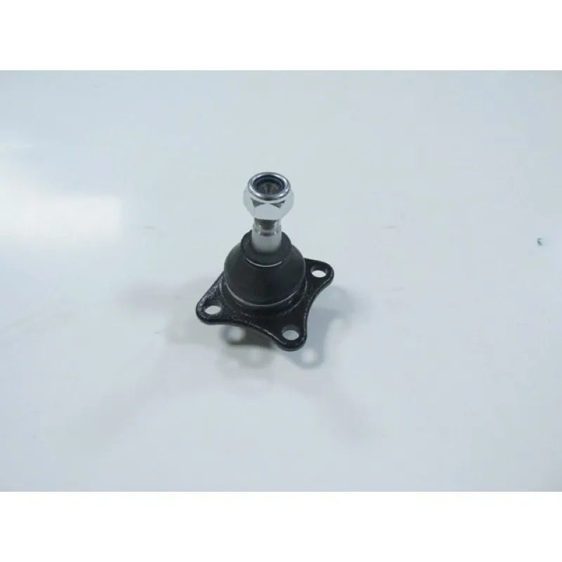 Palio Ön Rotil 1997-2015 Meydan 46437959