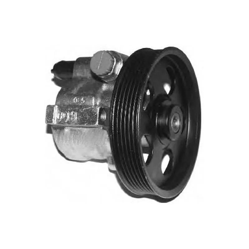 Clio Direksiyon Pompası 1999-2008 Ramsan 491108814R