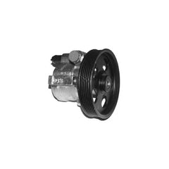 Fluence Direksiyon Pompası 2008-2012 Ramsan 491100522R
