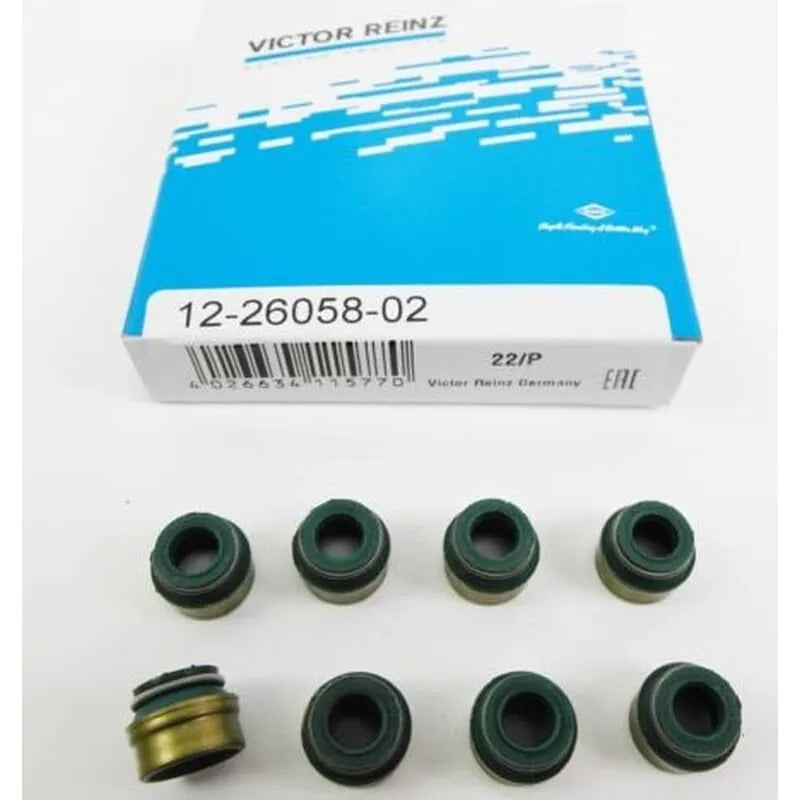 Renault 9 Subap Lastiği 1997-2000 Victor Reinz 7700103872