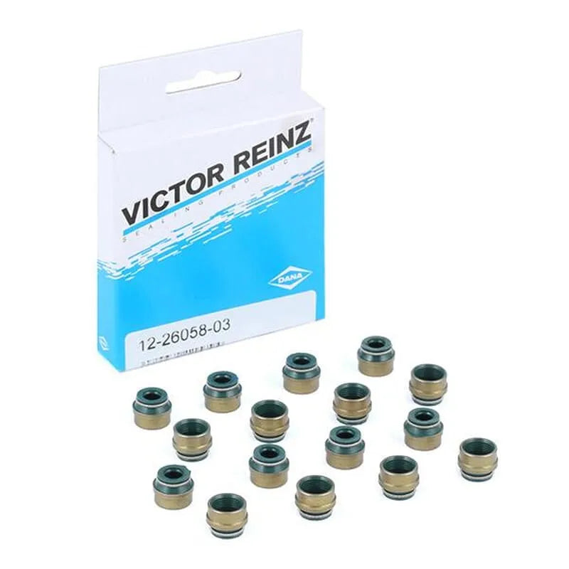 Stilo Subap Lastiği 2003-2006 Victor Reinz 7581344