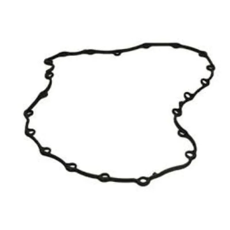 Laguna Karter Contası 1996-2012 Victor Reinz 6001545303