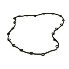 Laguna Karter Contası 1996-2012 Victor Reinz 6001545303