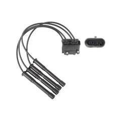 Twingo Ateşleme Bobini ve Buji Kablosu 1997-2001