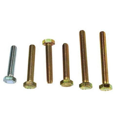 Renault 9 Su Pompası Cıvatası 1985-2000 Srk 200439