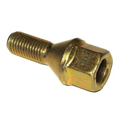 Clio Bijon Cıvatası 1999-2012 Srk 8200058103