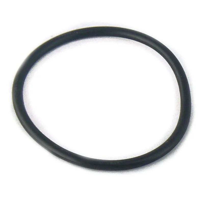 Megane Gaz Kelebeği Sızdırmazlık Contası 1995-2015