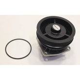 Şahin Su Pompası 1988-2001 Srk 71737979