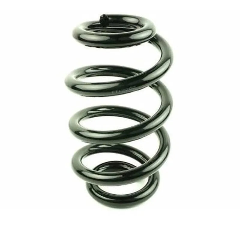 Master Helezon Yayı 1998-2010 Standart Yay 7700302106