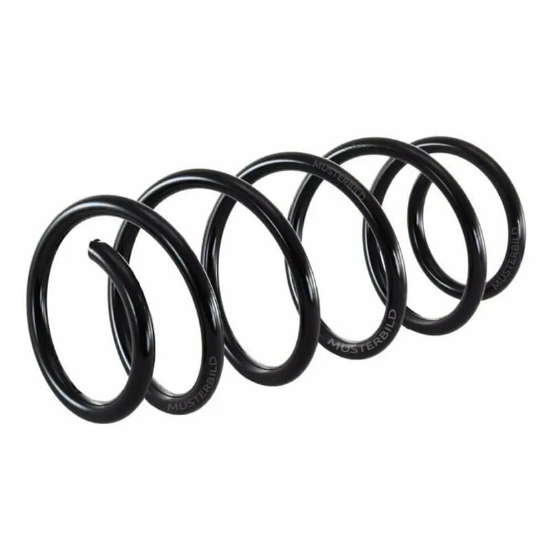 Megane Helezon Yayı 1995-2003 Standart Yay 8200106137