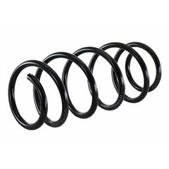 Megane Helezon Yayı 1995-2003 Standart Yay 8200106137