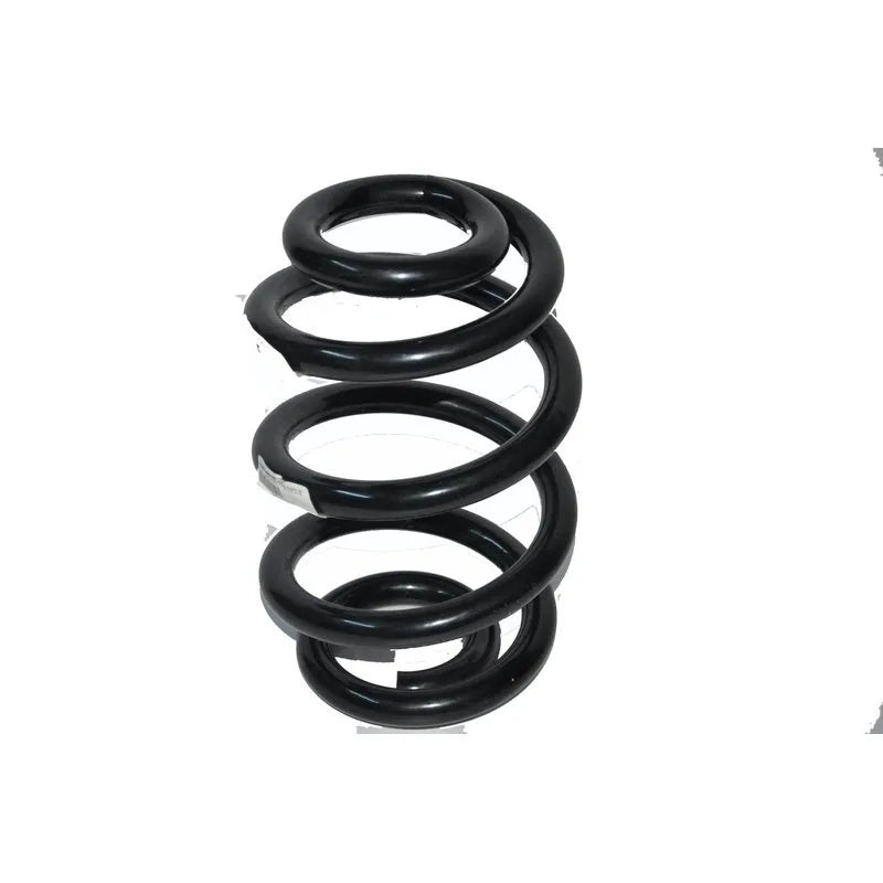 Master Helezon Yayı 2004-2010 Standart Yay 8200059852