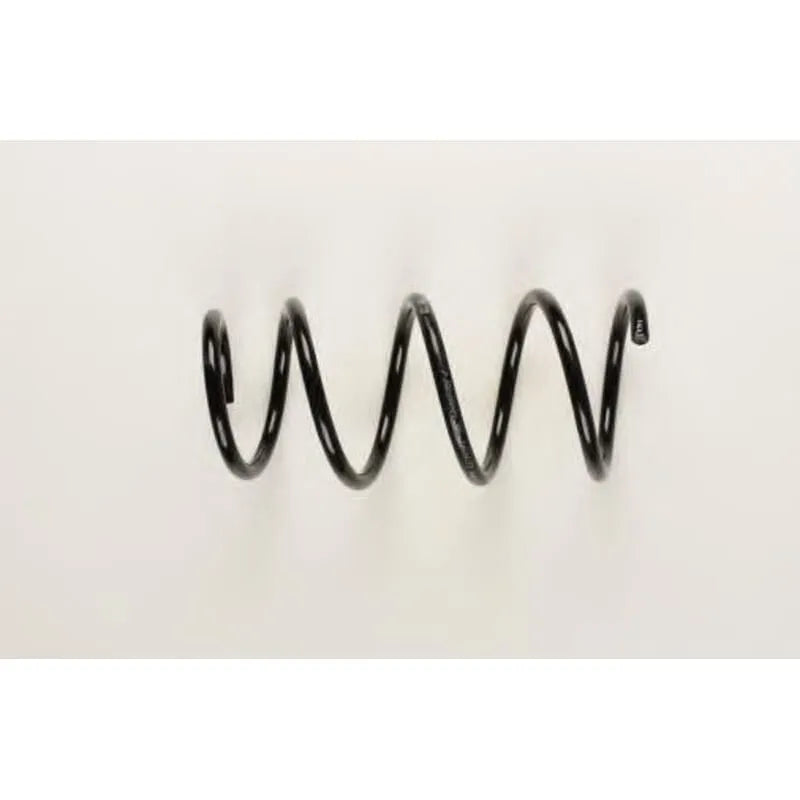 Logan Helezon Yayı 2002-2009 Standart Yay 6001549183