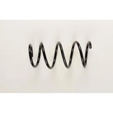 Logan Helezon Yayı 2002-2009 Standart Yay 6001549183