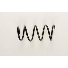 Logan Helezon Yayı 2002-2009 Standart Yay 6001549183