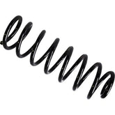 Clio Helezon Yayı 1999-2008 Standart Yay 6001547971