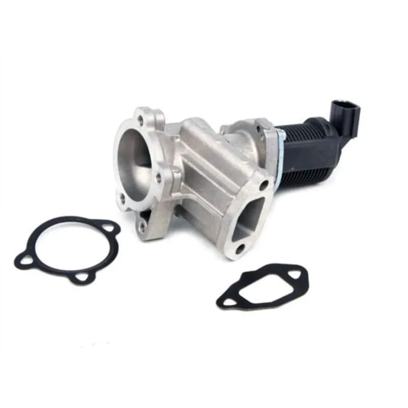 Scudo Egr Valfi 1995-2004 Süpsan 359000604410