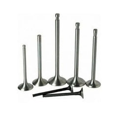 Scudo Egzoz Ve Emme Subap Takımı 1995-2004