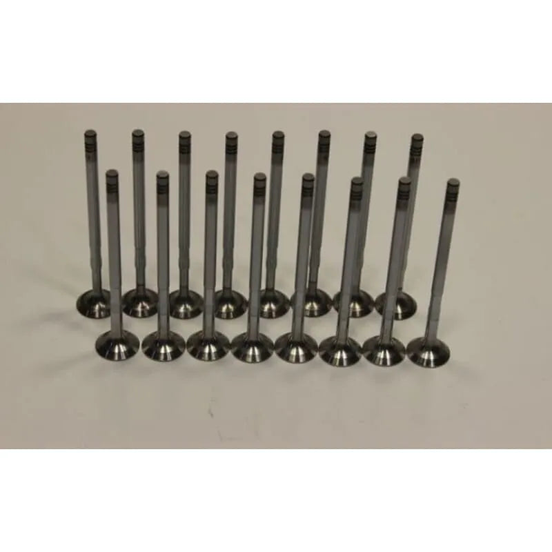 Albea Egzoz Ve Emme Subap Takımı 2002-2013