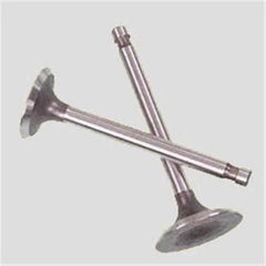 Kangoo Egzoz Ve Emme Subap Takımı 1998-2002