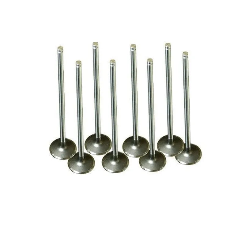 Megane Egzoz Ve Emme Subap Takımı 1995-2003