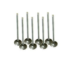 Megane Egzoz Ve Emme Subap Takımı 1995-2003