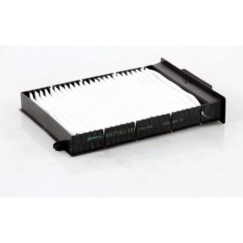 Megane Polen Filtresi 2004-2009 Valeo 7701055109